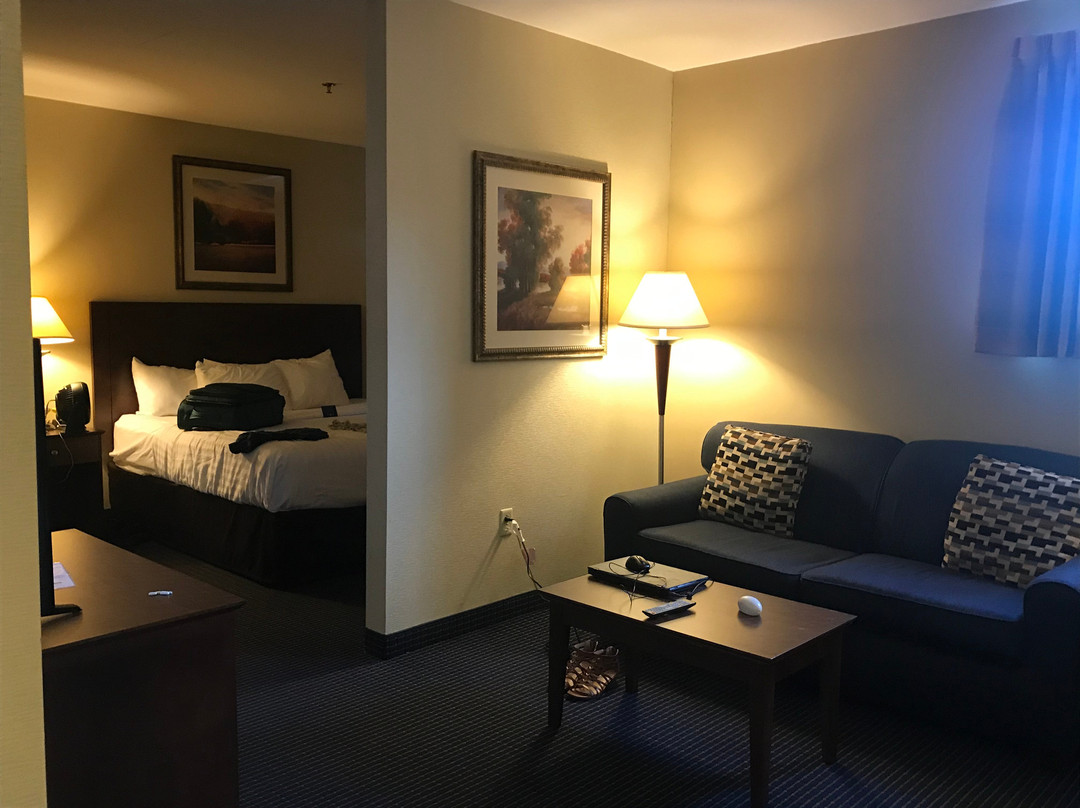 多佛尔曼斯戴套房酒店主图