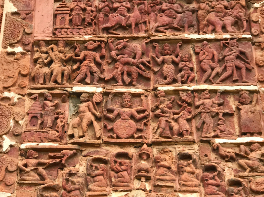 Joypur Forest景点图片