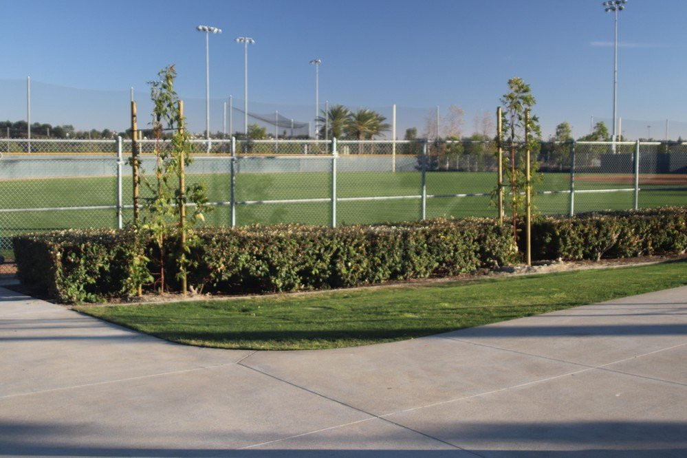 Lake Forest Sports Park-莱克福里斯特必去景点