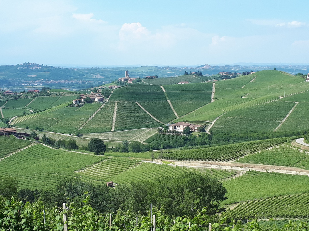 Azienda Agricola Rusél景点图片