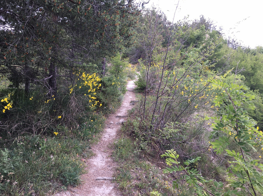 Agriturismo Pedrosola主图