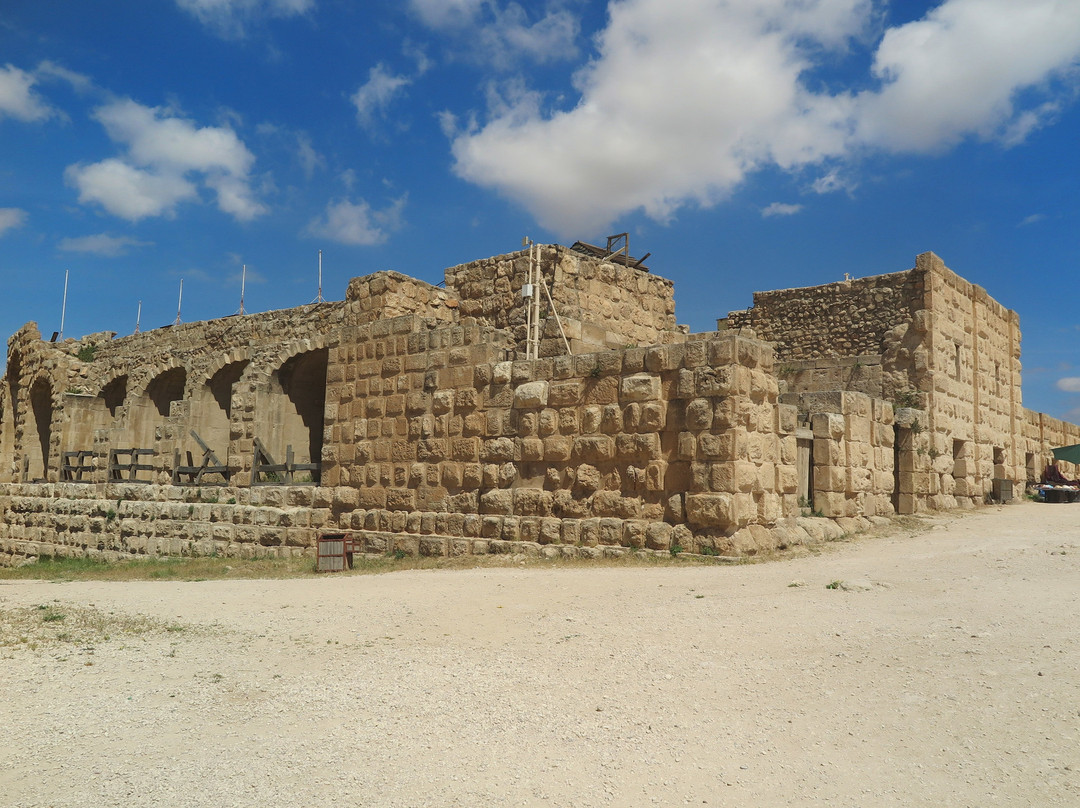The Roman Army and Chariot Experience景点图片