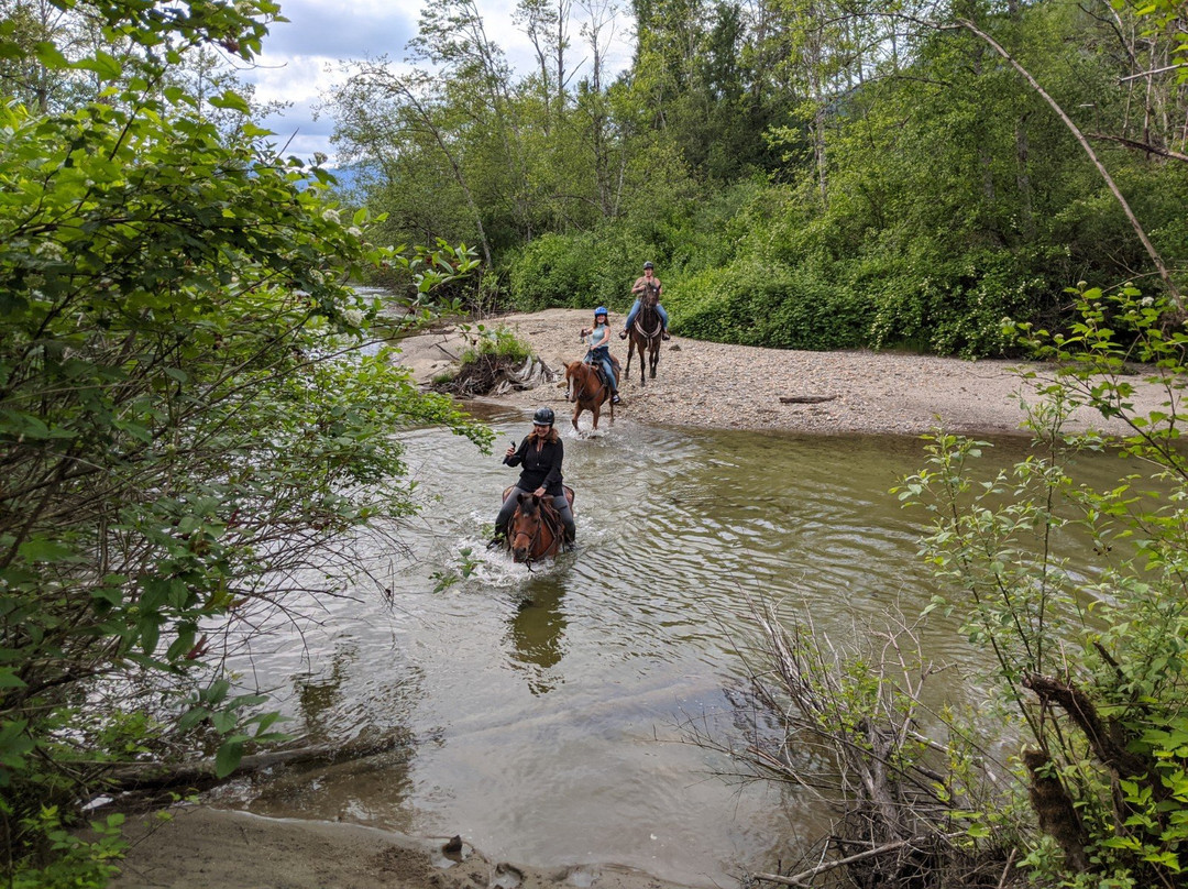Mustang Riding Stables-米逊必去景点