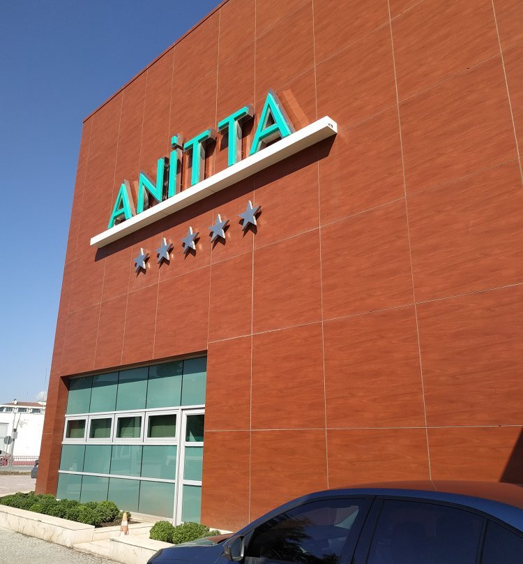 Anitta Hotel主图