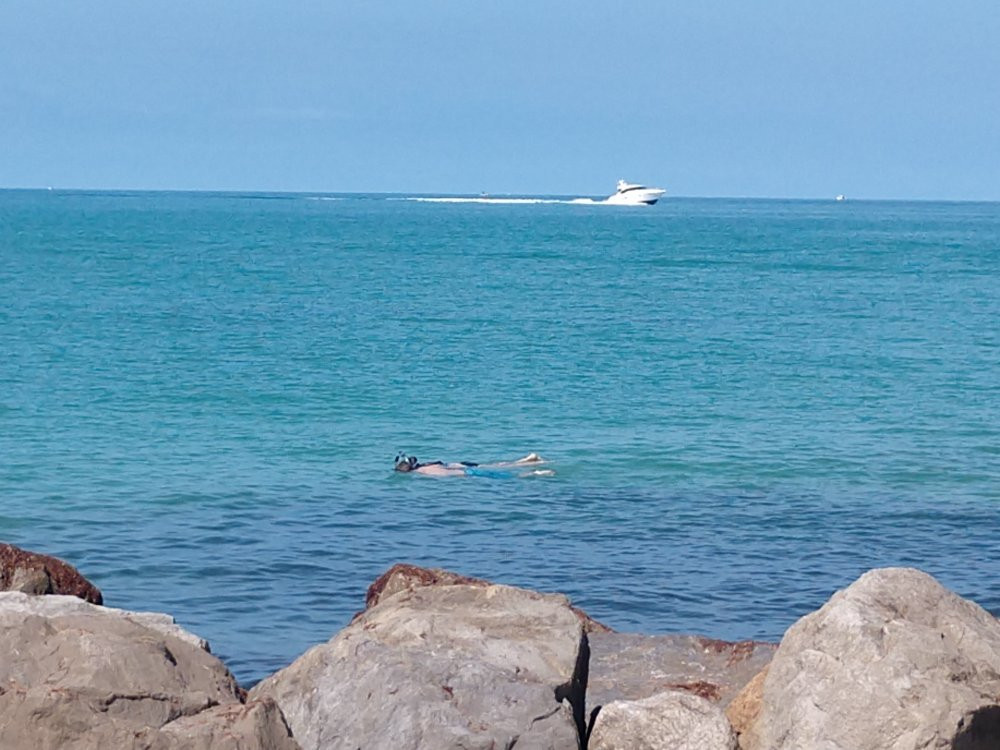 South Jetty Beach-威尼斯必去景点
