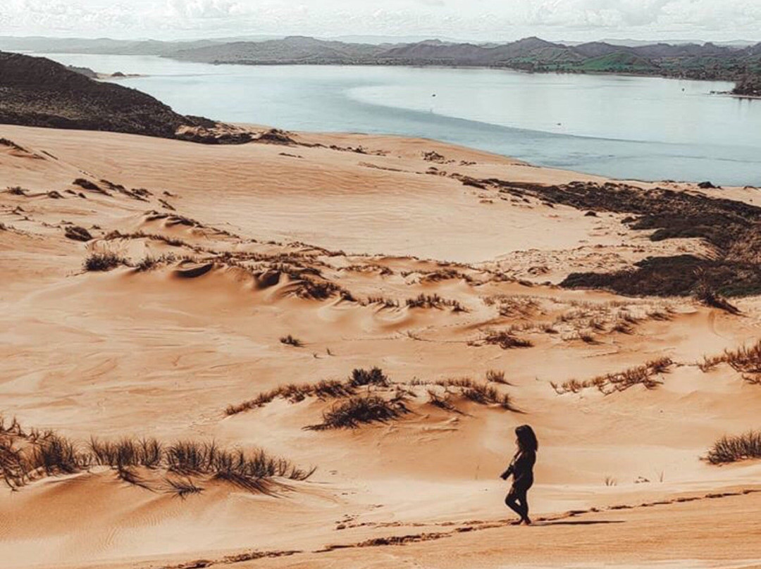 Hokianga Express Charters景点图片