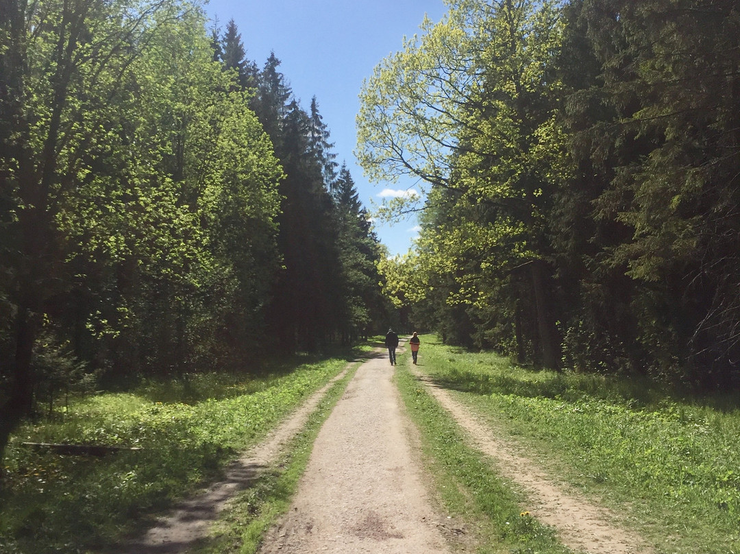 Babolovskiy Park景点图片