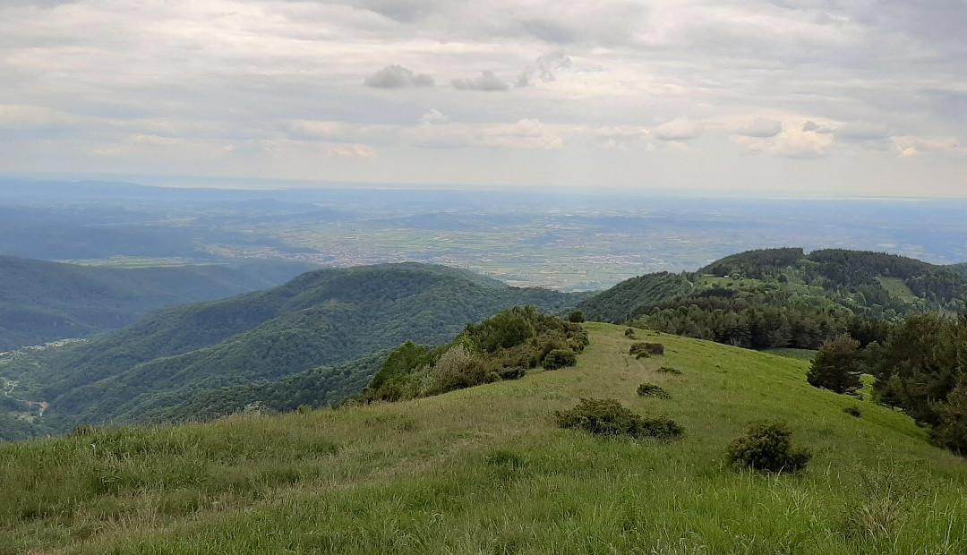 Monte Joanaz景点图片