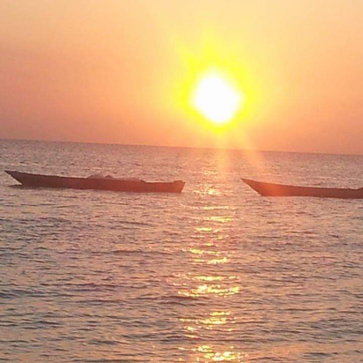 Zanzibar Different Tours - Day Tours景点图片