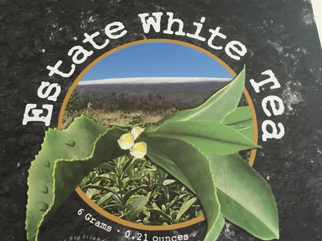 火山酿酒厂-火山必去景点