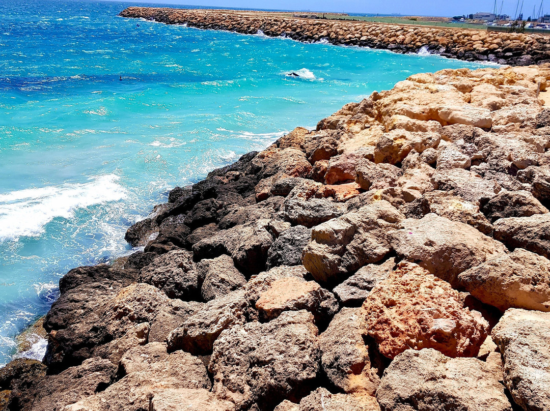 Coogee Beach景点图片
