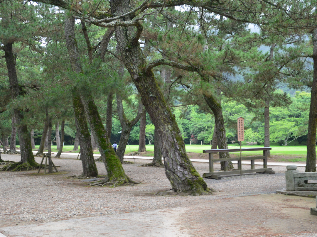 Pine Entrance Path-出云市必去景点