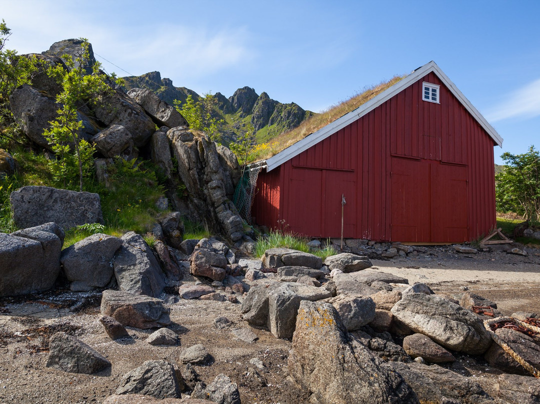 Skaftnes gård (farm)景点图片