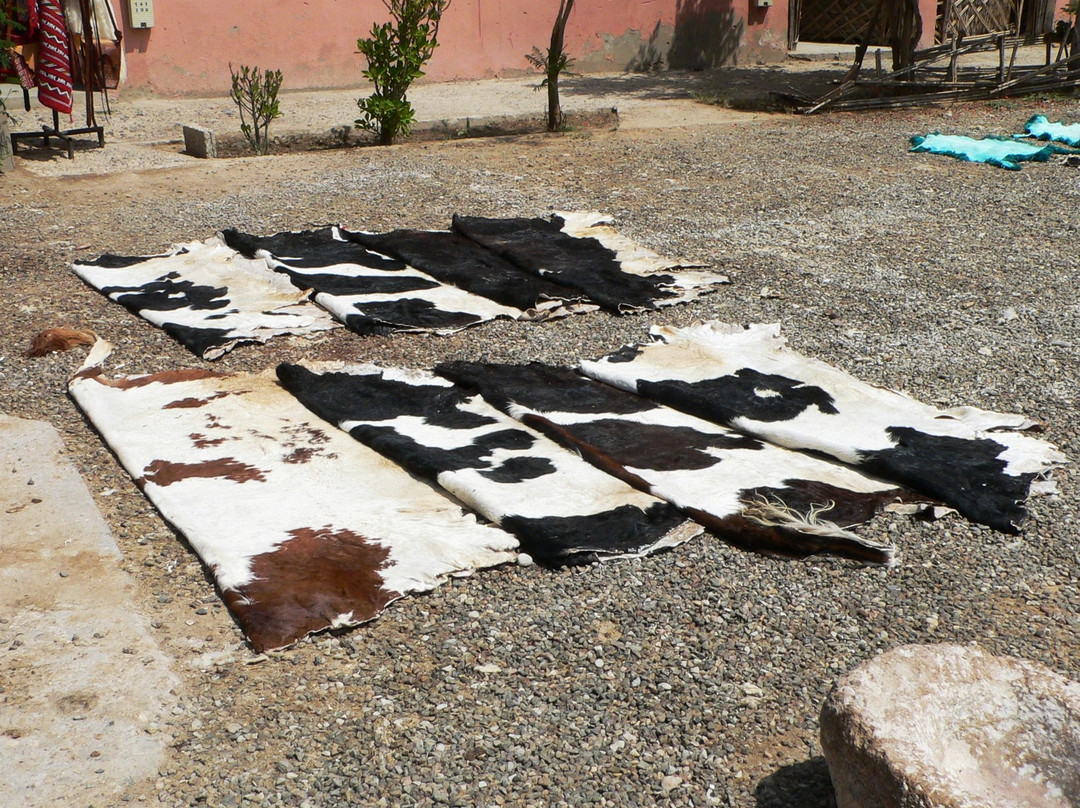 Tanneries-塔鲁丹特必去景点