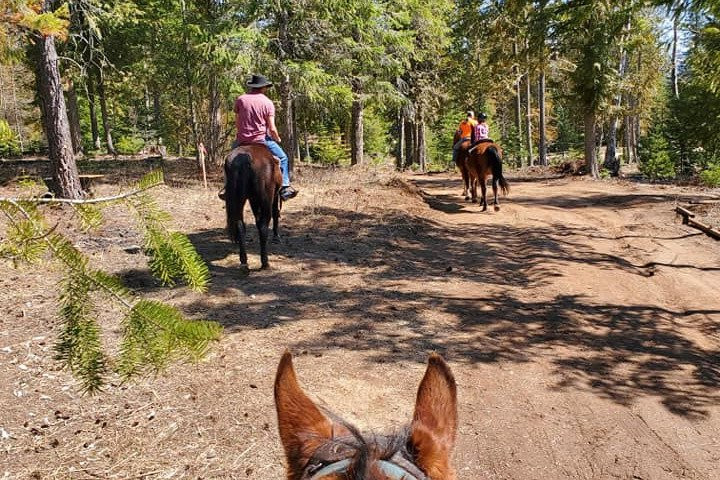 Thunder Ridge Riding Center景点图片