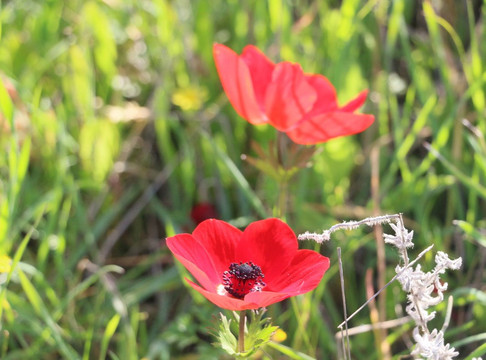 Pura Nature Reserve-贝尔谢巴必去景点