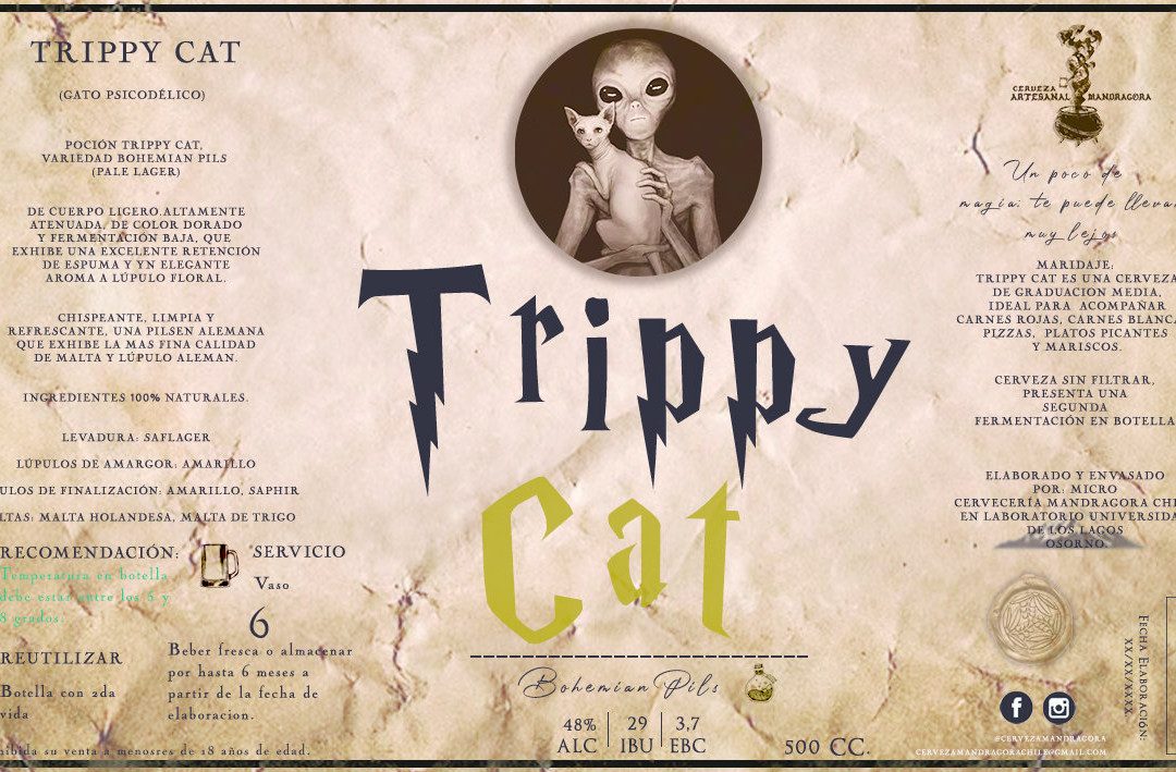 Parque Cuarto Centenario de Osorno-Osorno必去景点