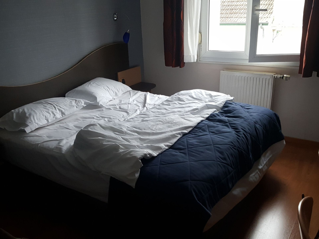 Logis Hôtel Au Tambour主图