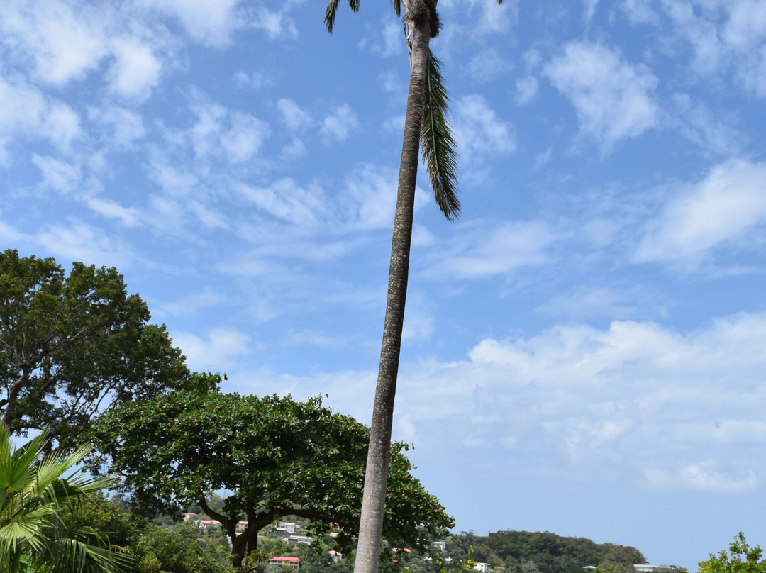 Sunnyside Garden-St. George's必去景点