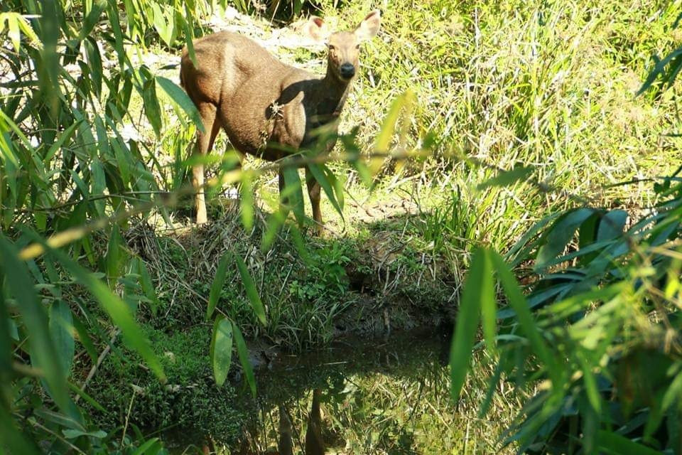 Green Kerala Tours & Travels-帖可迪必去景点