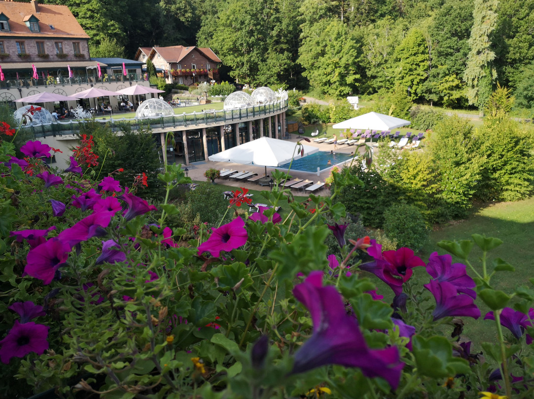 Les Violettes Hotel & Spa主图