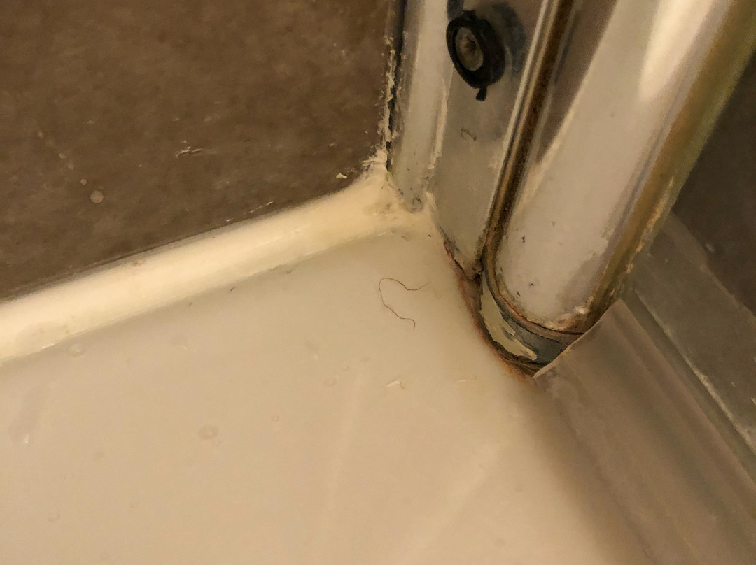 Château Jeanne & The Forest主图