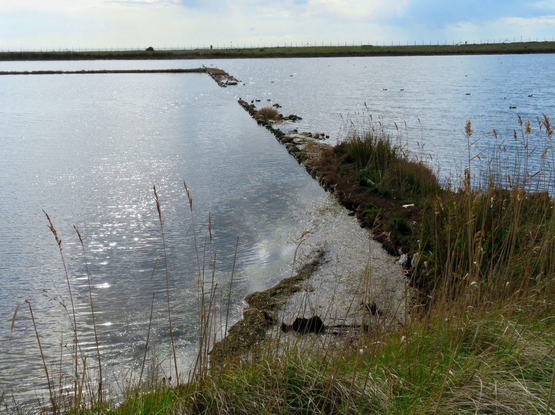 Saline di Tarquinia-塔尔奎尼亚必去景点