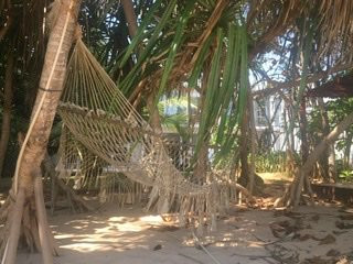 Zephyr Talalla主图