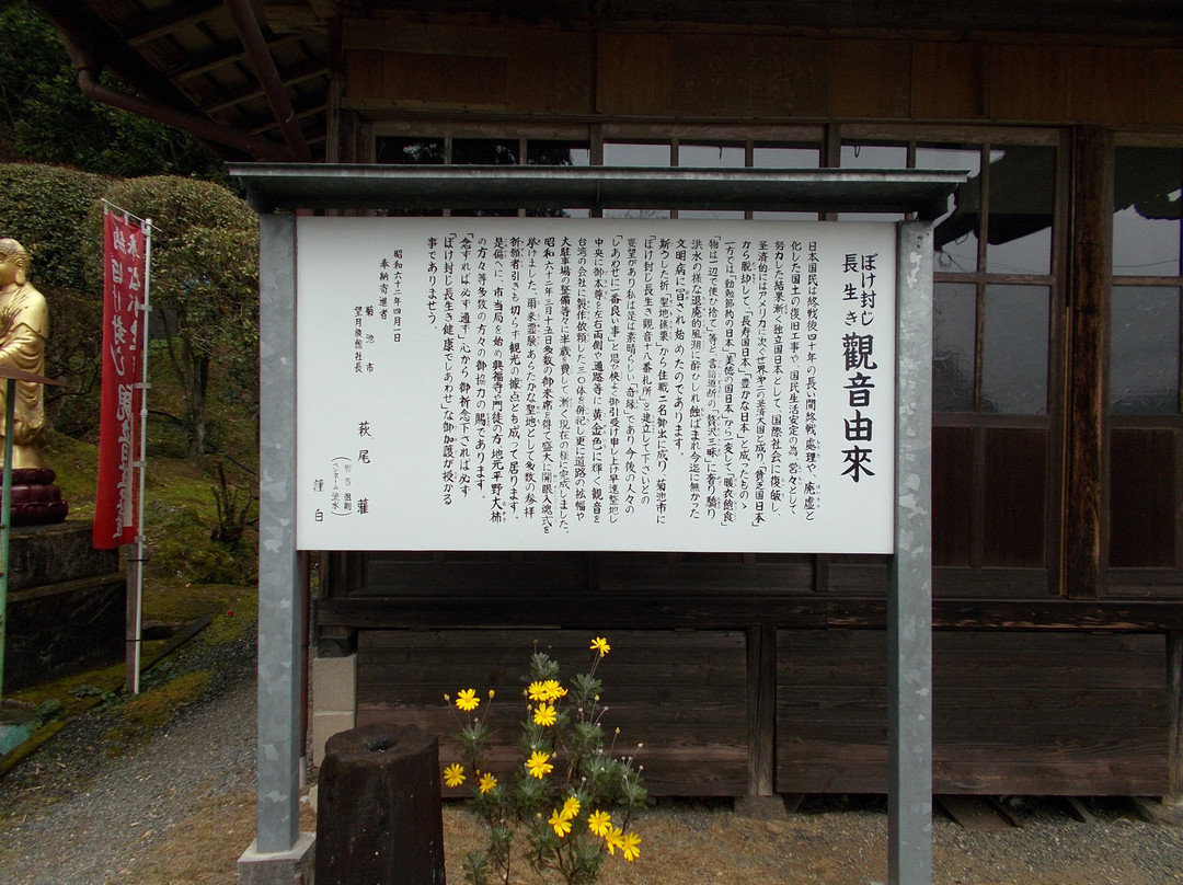 Kofukuji No Bokefuji Nagaiki Kannon Bosatsu景点图片