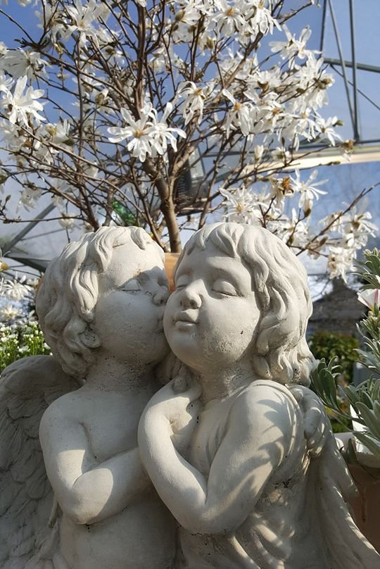 Botanic Home & Garden Centre Cork-Carrigtwohill必去景点