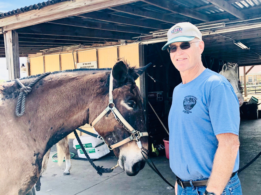 DreamCatcher Horse Ranch and Rescue景点图片