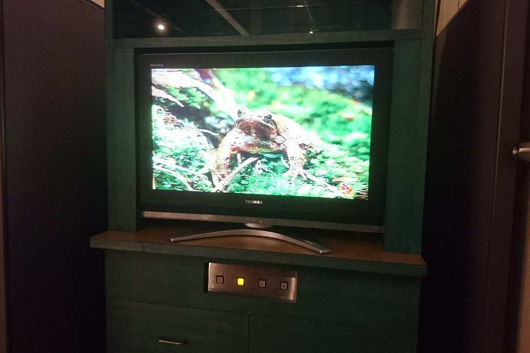 Kishiwada Nature Musium-岸和田市必去景点