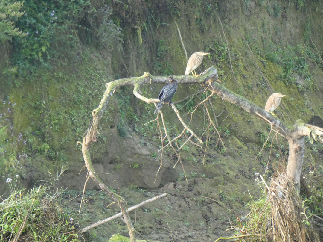 Narayani River-奇旺国家公国必去景点