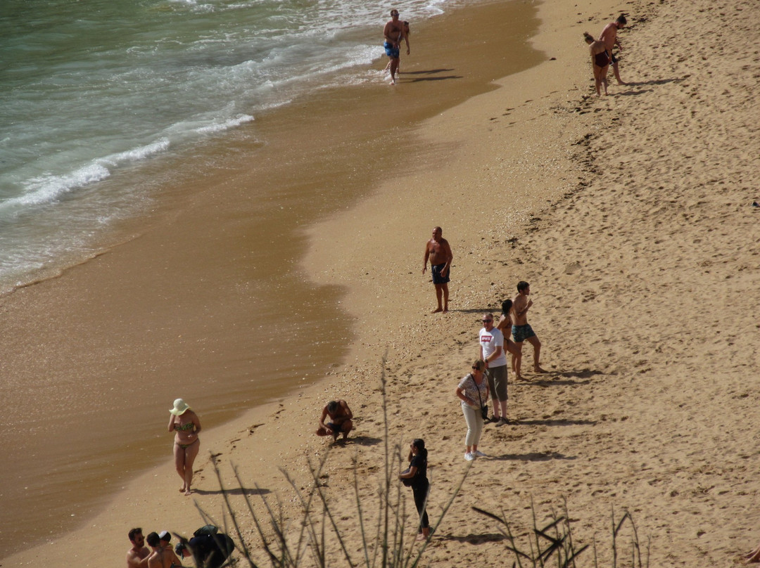 Praia do Carvoeiro景点图片