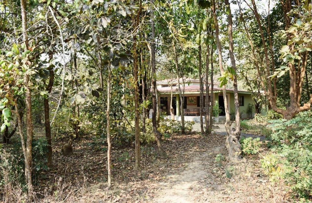 Singinawa Jungle Lodge主图