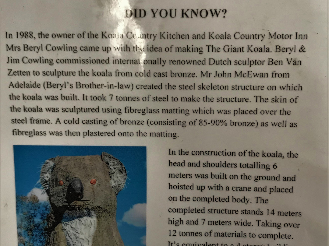 Giant Koala-Dadswells Bridge必去景点