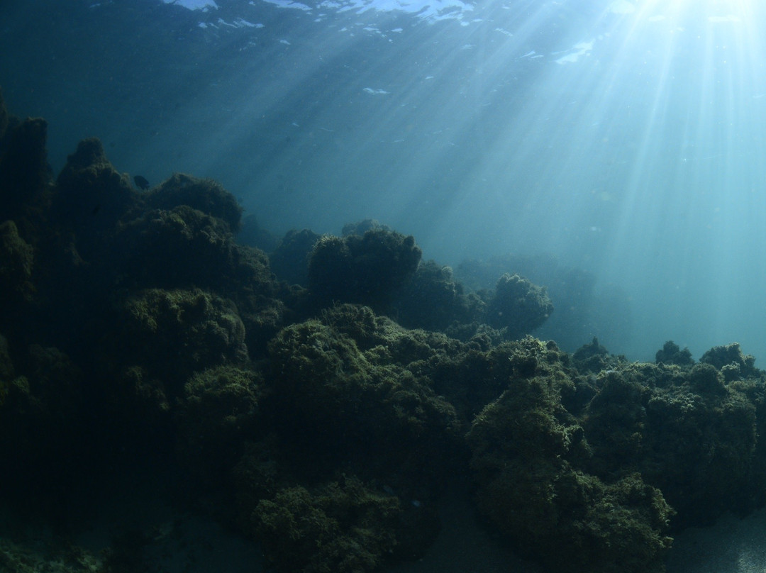 Abissal Mergulho-伊波茹卡必去景点