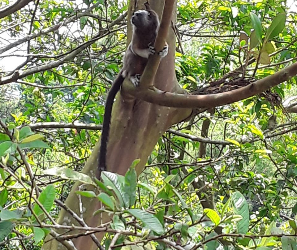Guatape Outdoors-Guatape必去景点