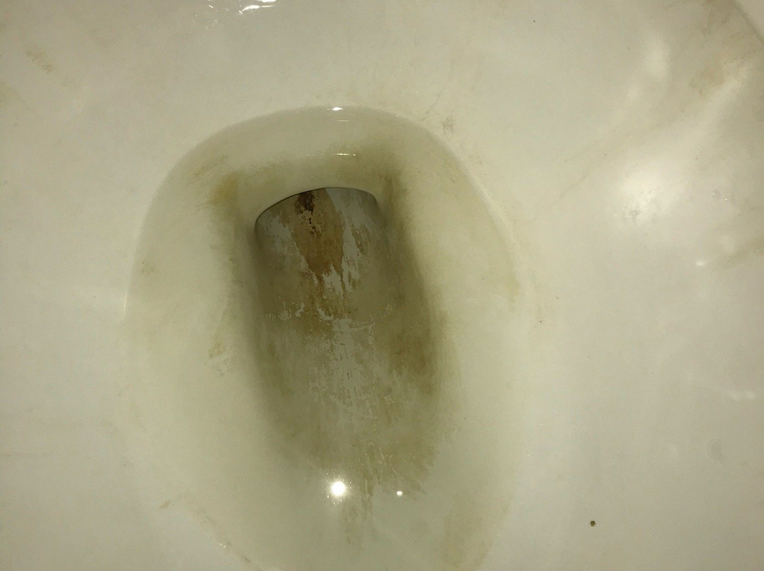 Coco Palm Garden & Casa Oleander主图