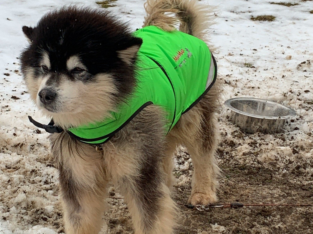 Husky-Hof Dreisessel-Neureichenau必去景点