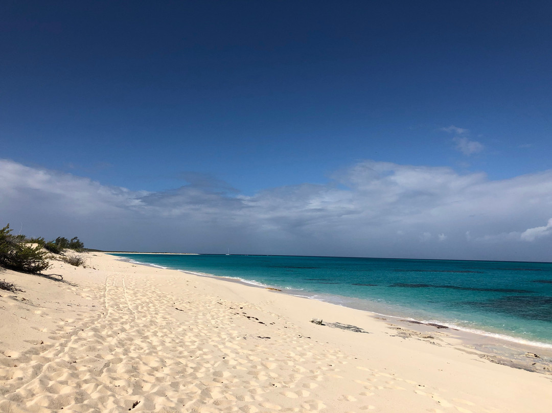 Tradewind Guest Suites on Salt Cay主图