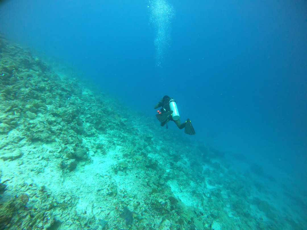 Sub Oceanic Dive Club景点图片