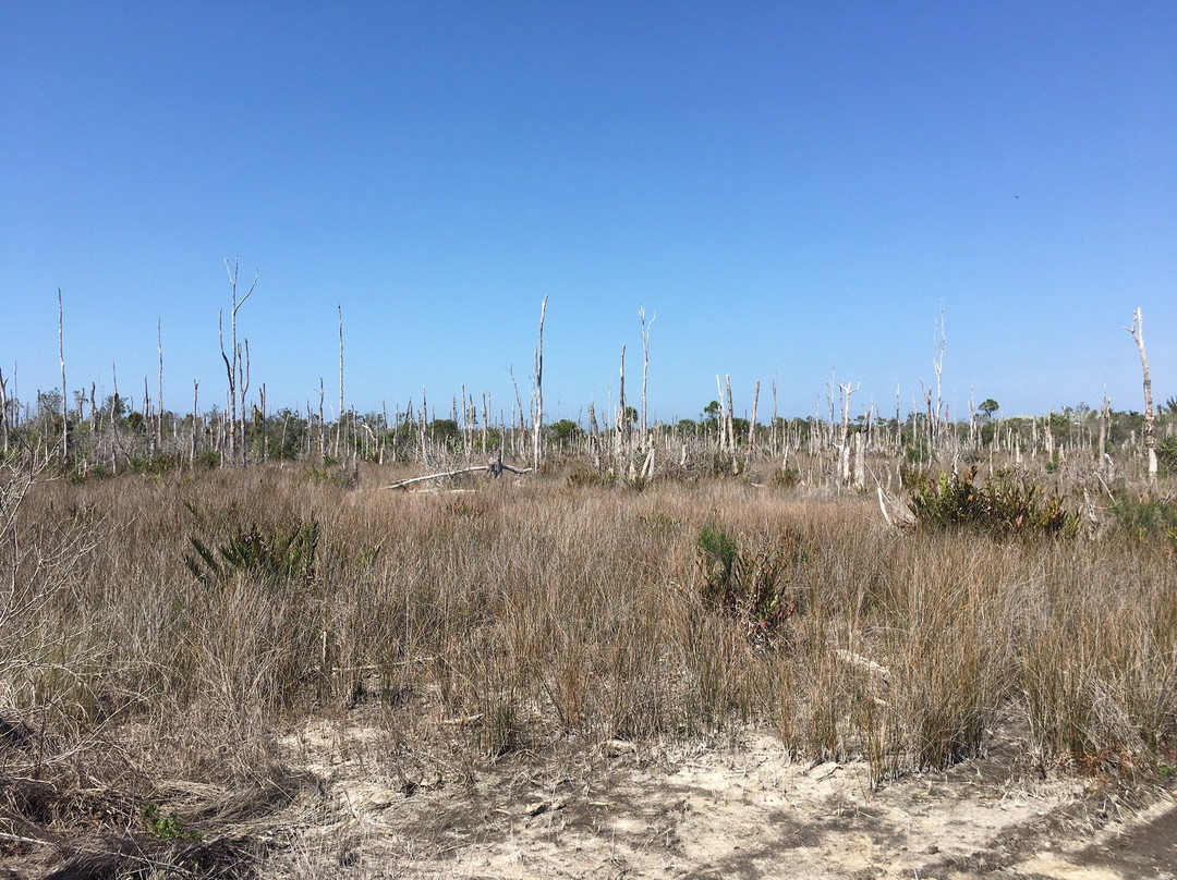 Estero Bay Preserve State Park-迈尔斯堡海滩必去景点