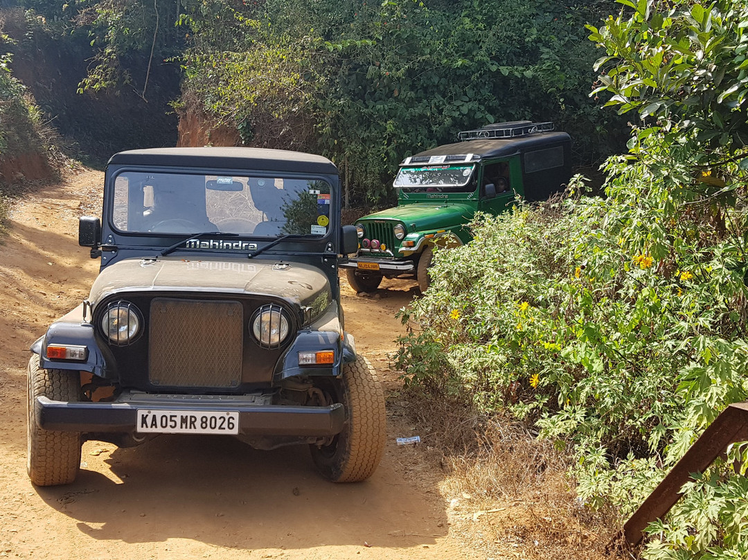 900 Woods Eco Resort主图