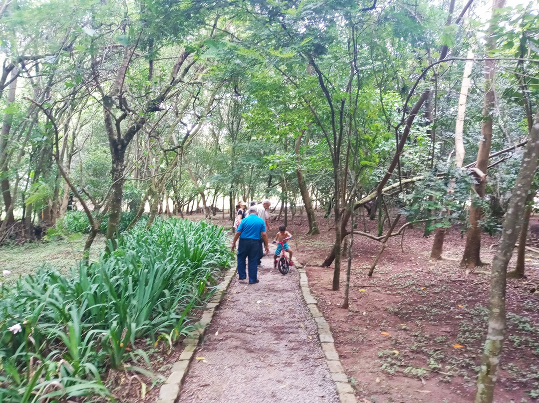 Teresa Maia Park-Cotia必去景点