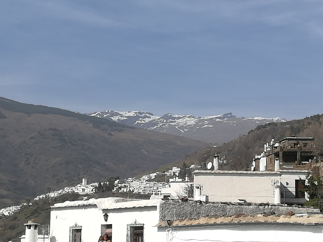 Las Terrazas de la Alpujarra主图
