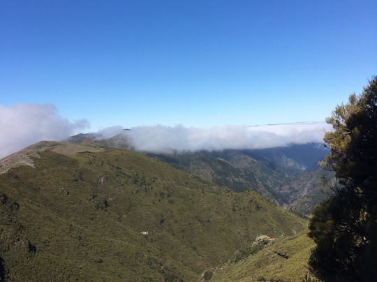 Levadas Madeira-沙尔必去景点