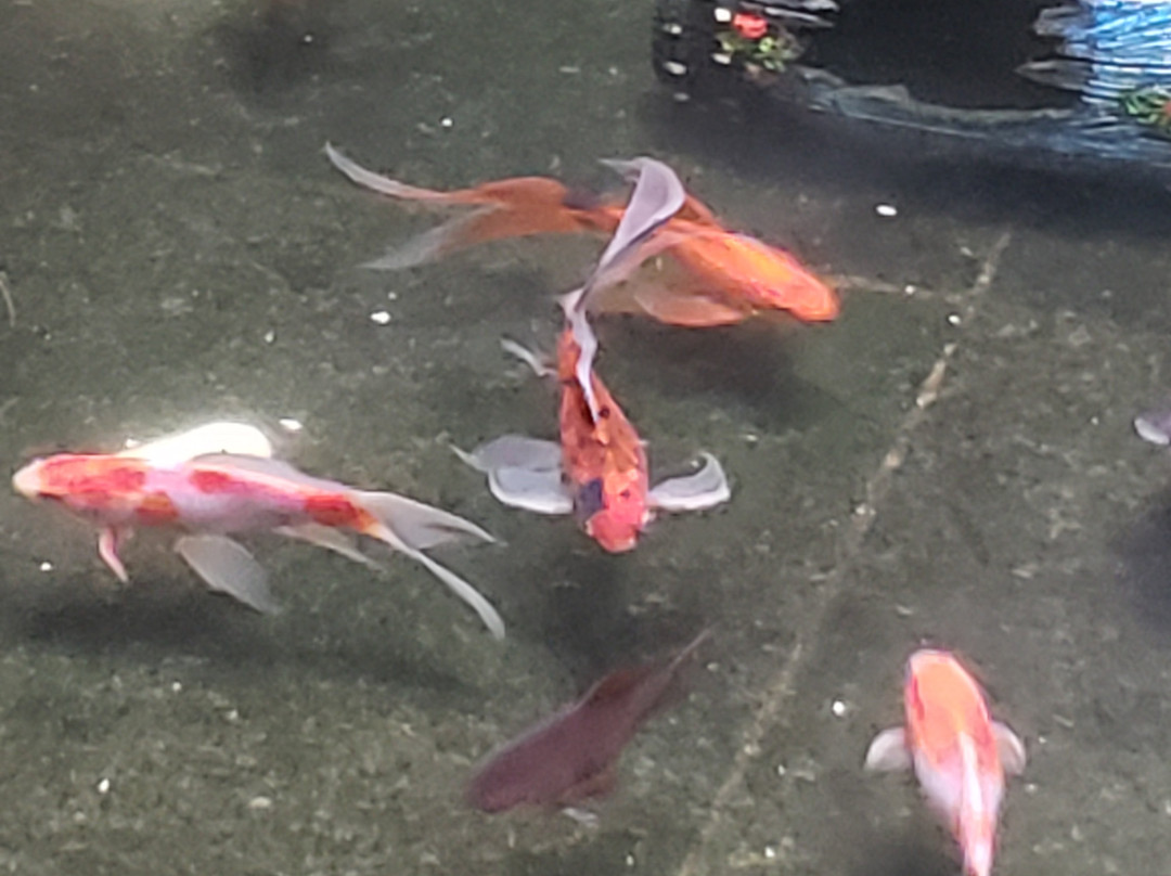 Virgilius Palace Hotel主图