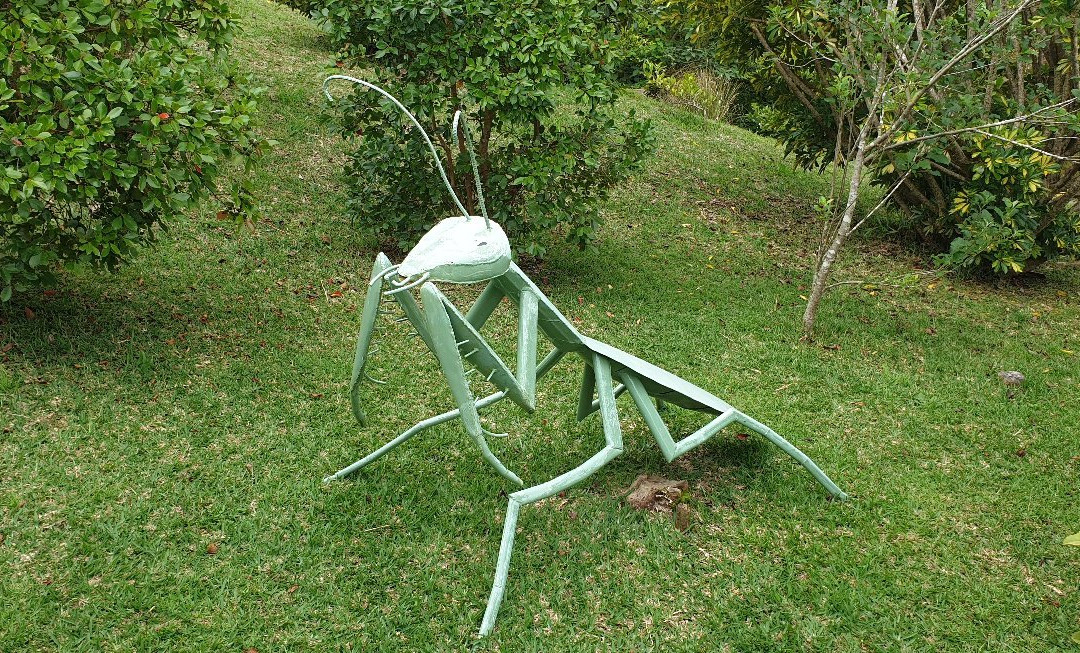 Le Jardin Des Bestioles景点图片