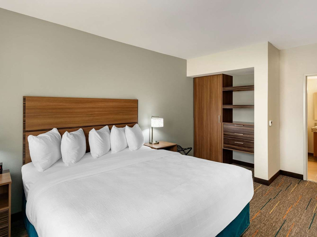 达拉斯南兰开斯特美茵斯坦套房酒店主图